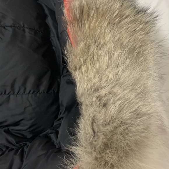 Canada Goose Jacket - Picture 5 of 7